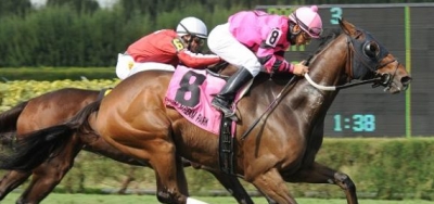 $100,000 Florida Sunshine Millions Turf Draws Field of Ten