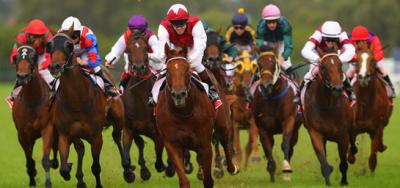 $200,000 Parx Dash Looks Like a Scramble to the Wire