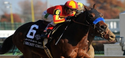 $500,000 Cigar Mile Draws Loaded Field of Nine