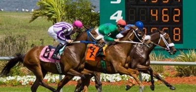 Barbados Has Class Edge in $100,000 Pelican Stakes
