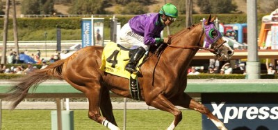 California Chrome Back in Action in $1 Million Pennsylvania Derby