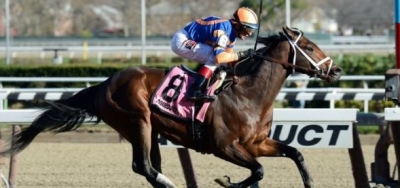 Compact But Competitive Field of Six Set for $100,000 Gander Stakes