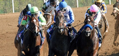 Donworth Taking on Eight Rivals in $100,000 Sir Barton Stakes