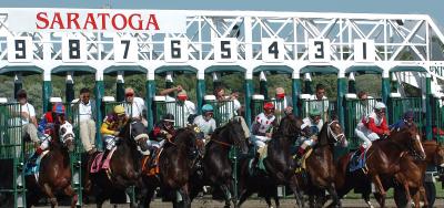 Eight Entered for the $100,000 Sir Cat Stakes
