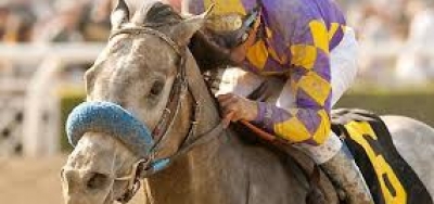 Field of Seven Set for $300,000 Commonwealth Stakes