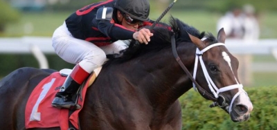 Full Field of Fourteen Ready for $75,000 Tropical Park Derby