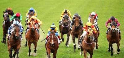 Grade 3 Frankel Stakes Looks Completely Wide Open