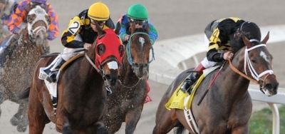 Grade 3 Mineshaft a Wide-Open Betting Race