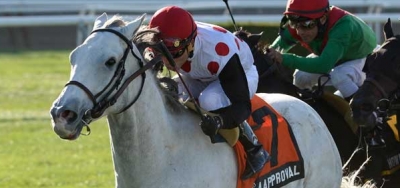 Mark Casse has Loaded Pair in $200,000 Arcadia Stakes
