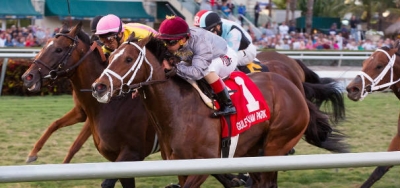 Mshawish Facing Five Rivals in Contentious $150,000 Hal's Hope Stakes