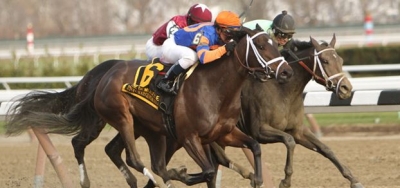 Pletcher's Overprepared Tops Field for $100,000 Smart Halo Stakes