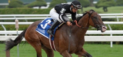 R Free Roll Taking on Five Rivals in $100,000 Sugar Swirl Stakes