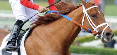 Reneesgotzip Headlines the $90,000 C.E.R.F. Stakes