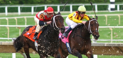 Ribo Bobo Back In $110,000 Express at Gulfstream Park