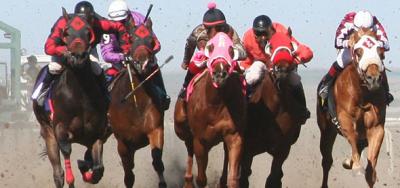 Seven Battle in El Dorado Stakes