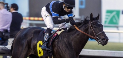Shared Belief Back in Action in $300,000 Malibu Stakes