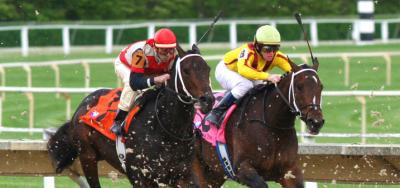 Short Field and Heavy Favorites in $100,000 Union Avenue