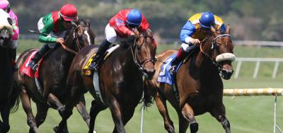 Ten Set for $150,000 Stars and Stripes Stakes