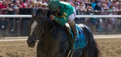 The Race is On for Champion Older Male Eclipse Award