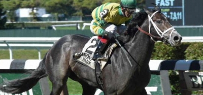 Undefeated Blofeld Returns in $100,000 William Walker Stakes