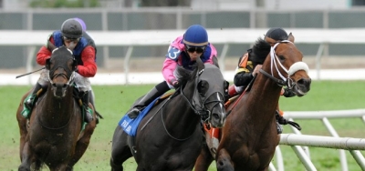 Vulnerable Favorite in $60,000 Bayou Stakes