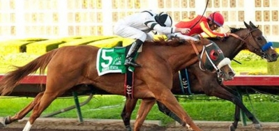 Warren's Veneda Going for Fourth Straight in $300,000 Vanity Stakes